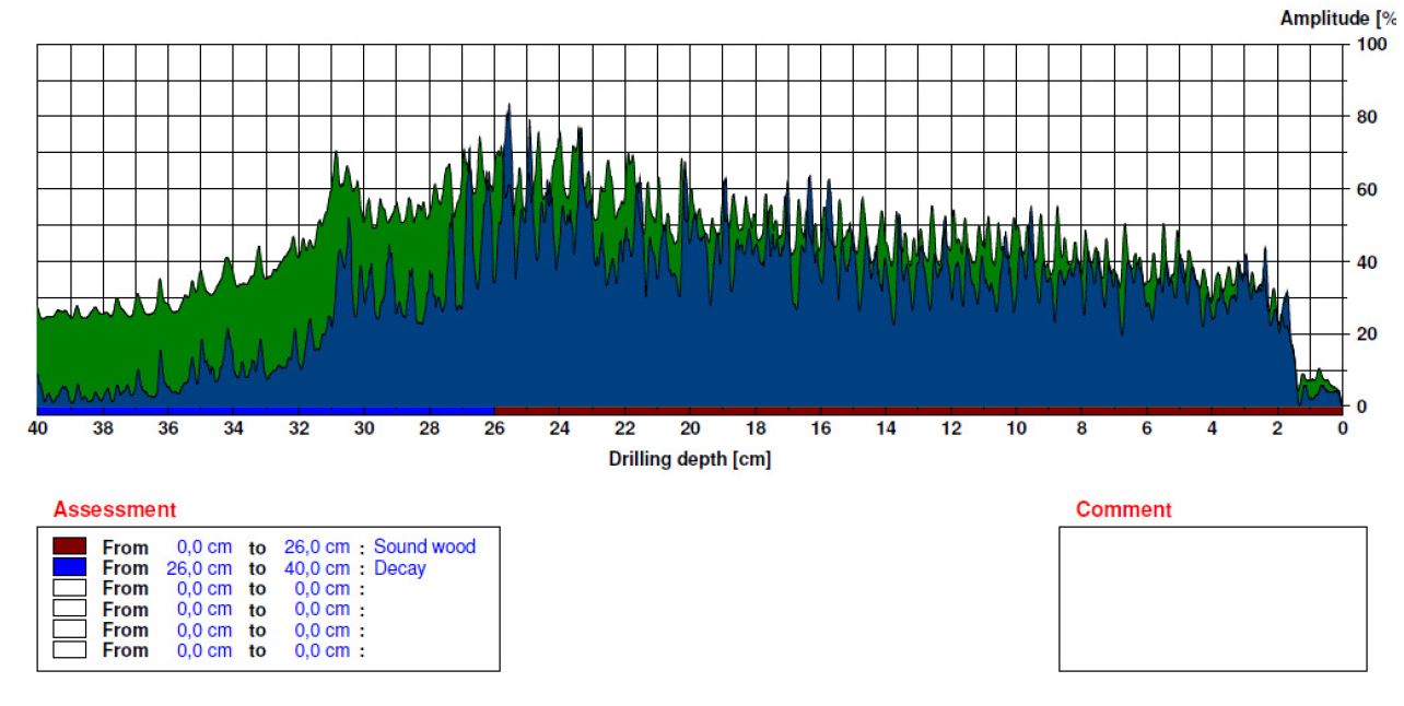 Resistograph Example