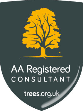 AA Registered Consultant